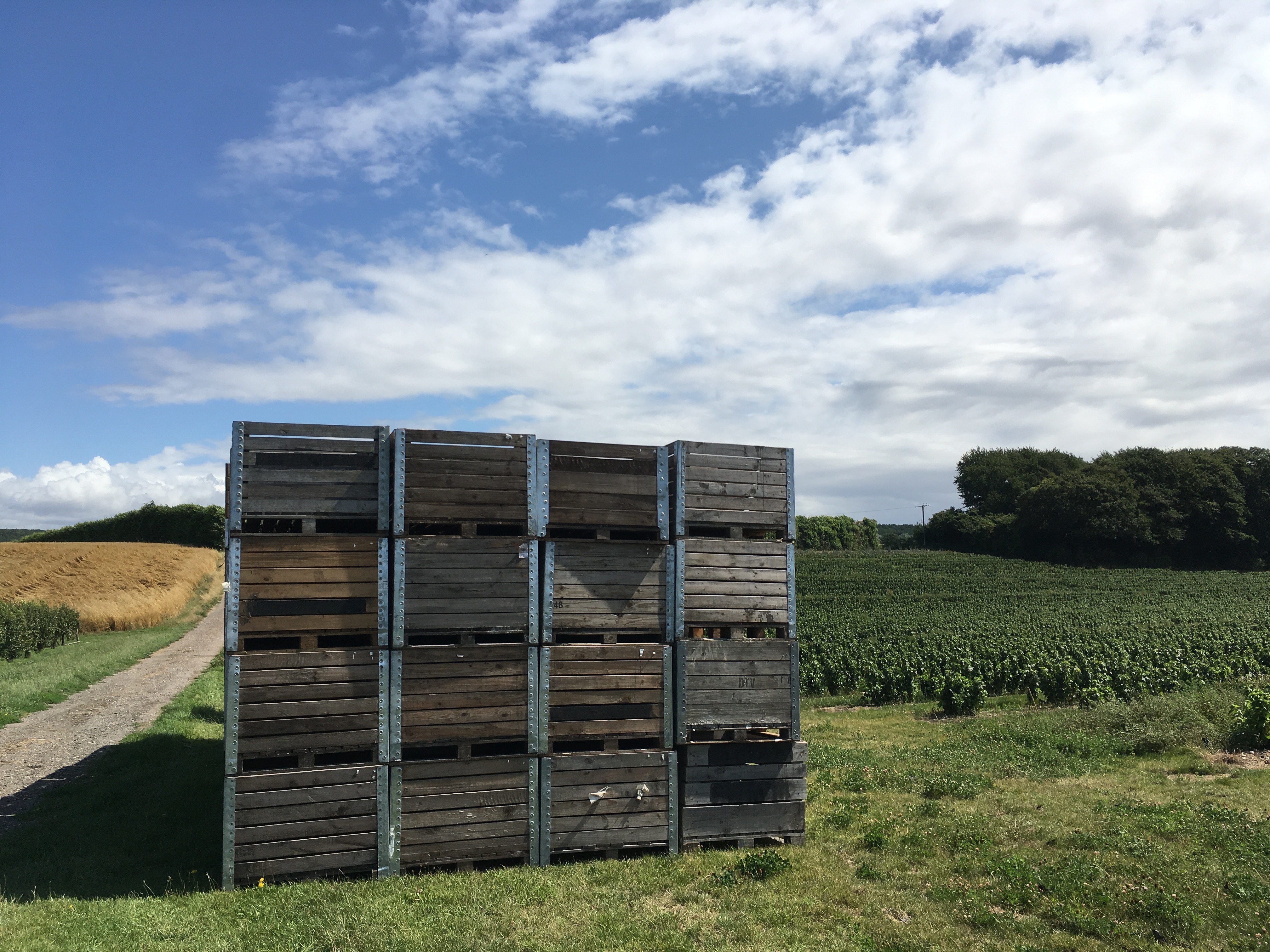 boxes in a field